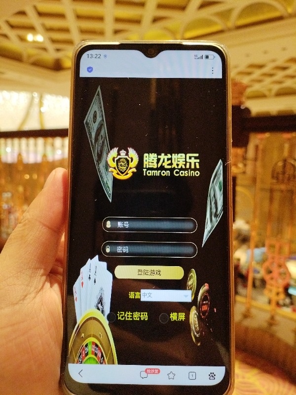 腾龙App界面演示
